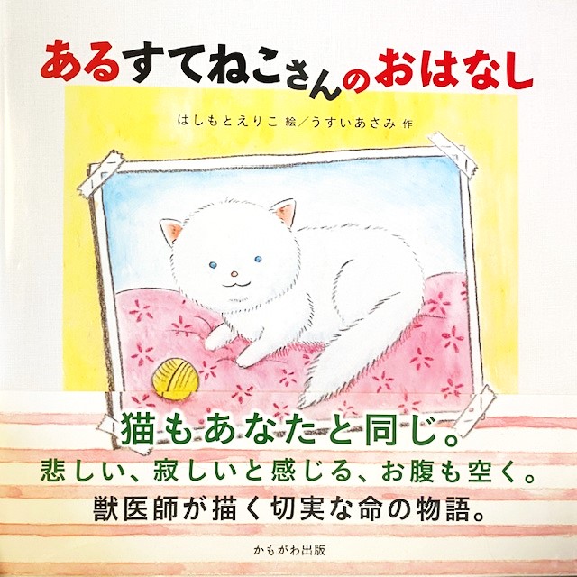 あるすてねこさんのおはなし ねこでこ 紙芝居 いのちの授業 川西市