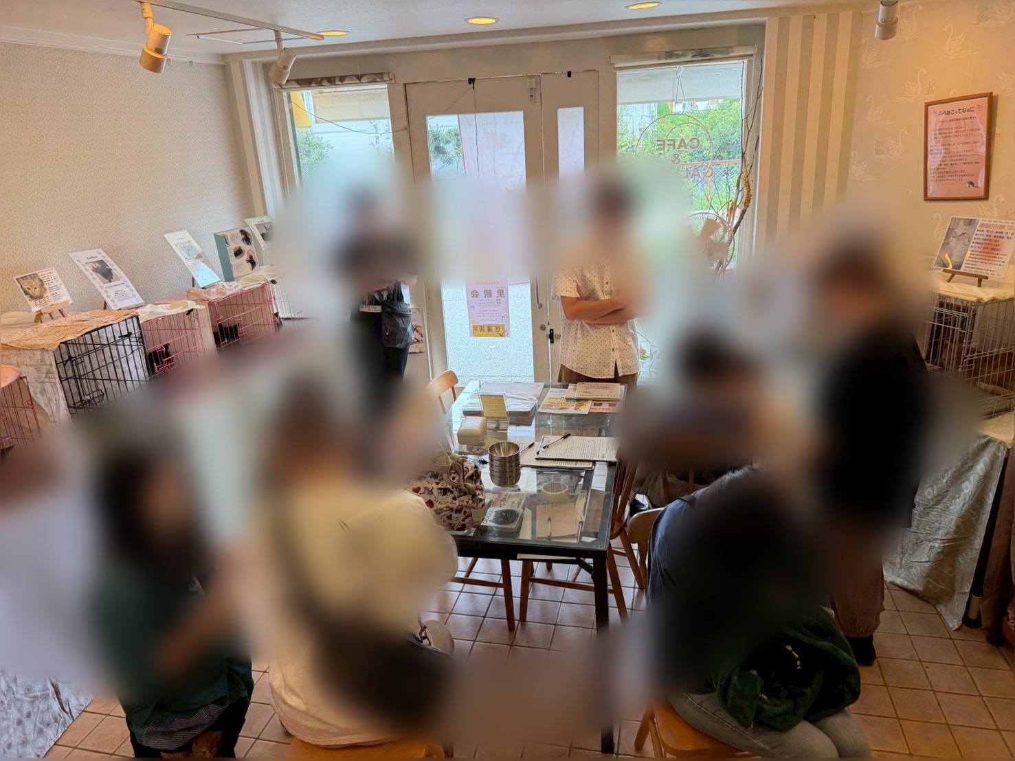 ねこdeko里親会 NPO法人ねこdeko 里親会 譲渡会 保護猫 野良猫 川西市