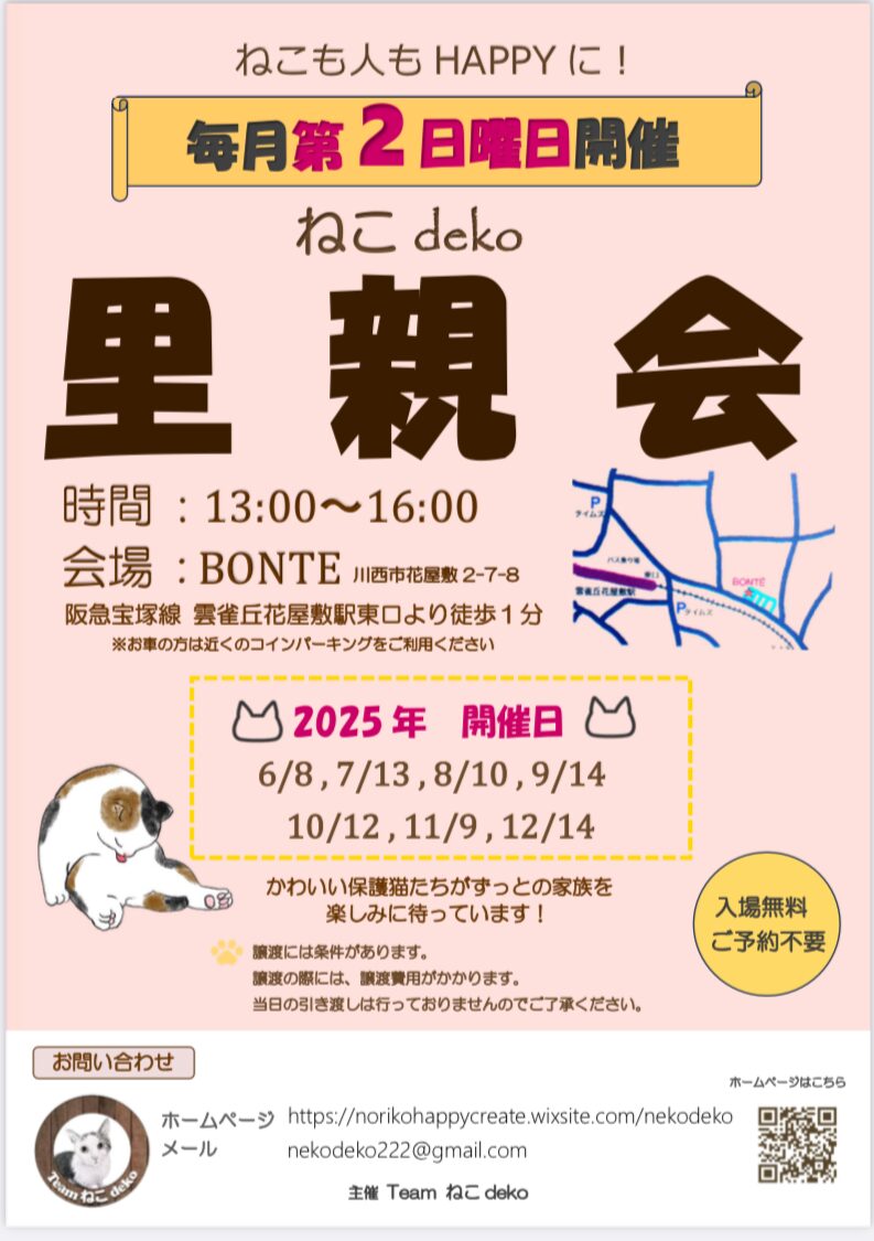 ねこでこ　里親会　譲渡会　川西市　保護猫　野良猫　保護猫を家族に