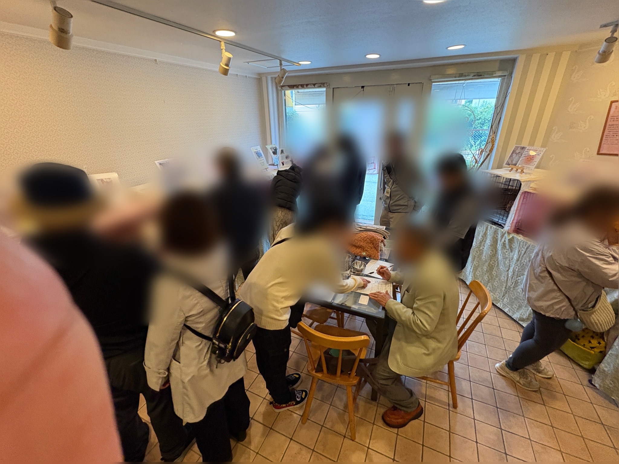 ねこでこ里親会　譲渡会　川西市