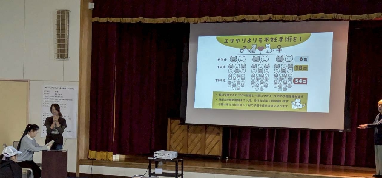 輝くにんげんフェア
野良猫のお話し ペットのお話し 川西市 ねこでこ