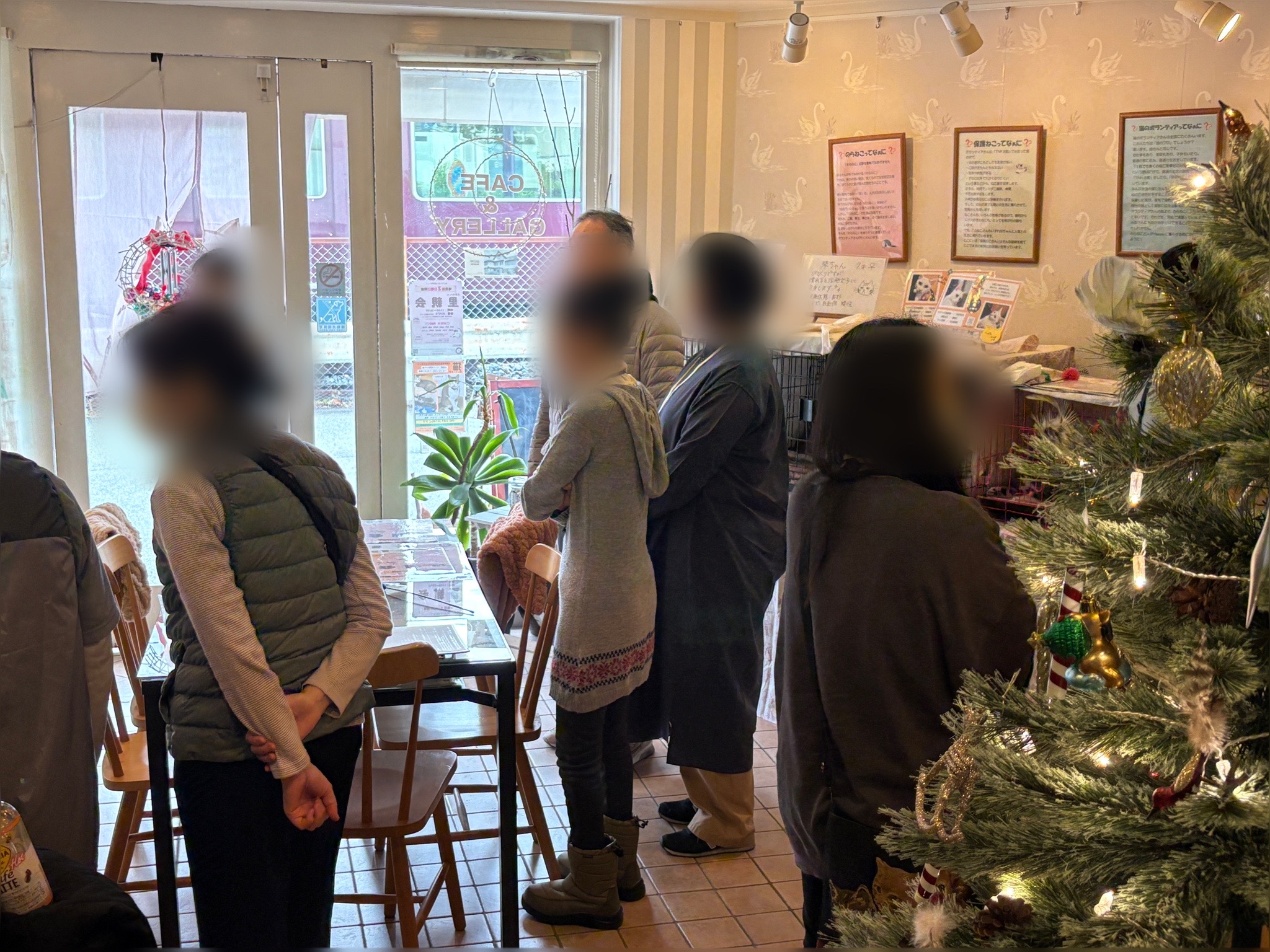 保護猫 野良猫 ボランティア 里親会 譲渡会 川西市 ねこでこ