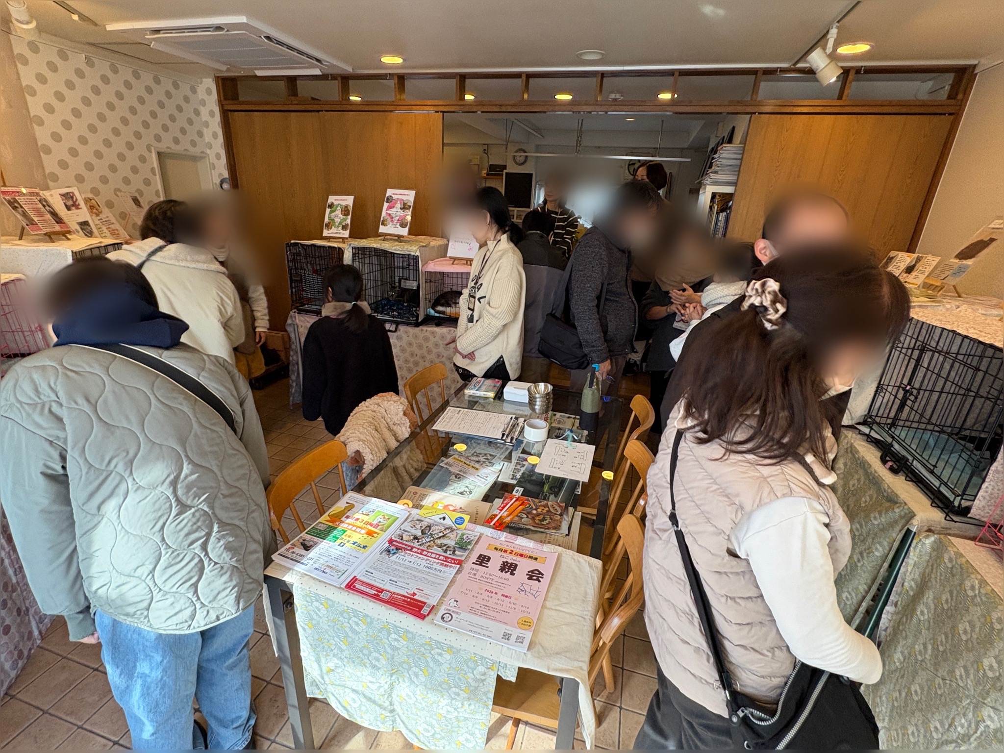 ねこdeko里親会 ねこでこ 里親会 譲渡会 川西市