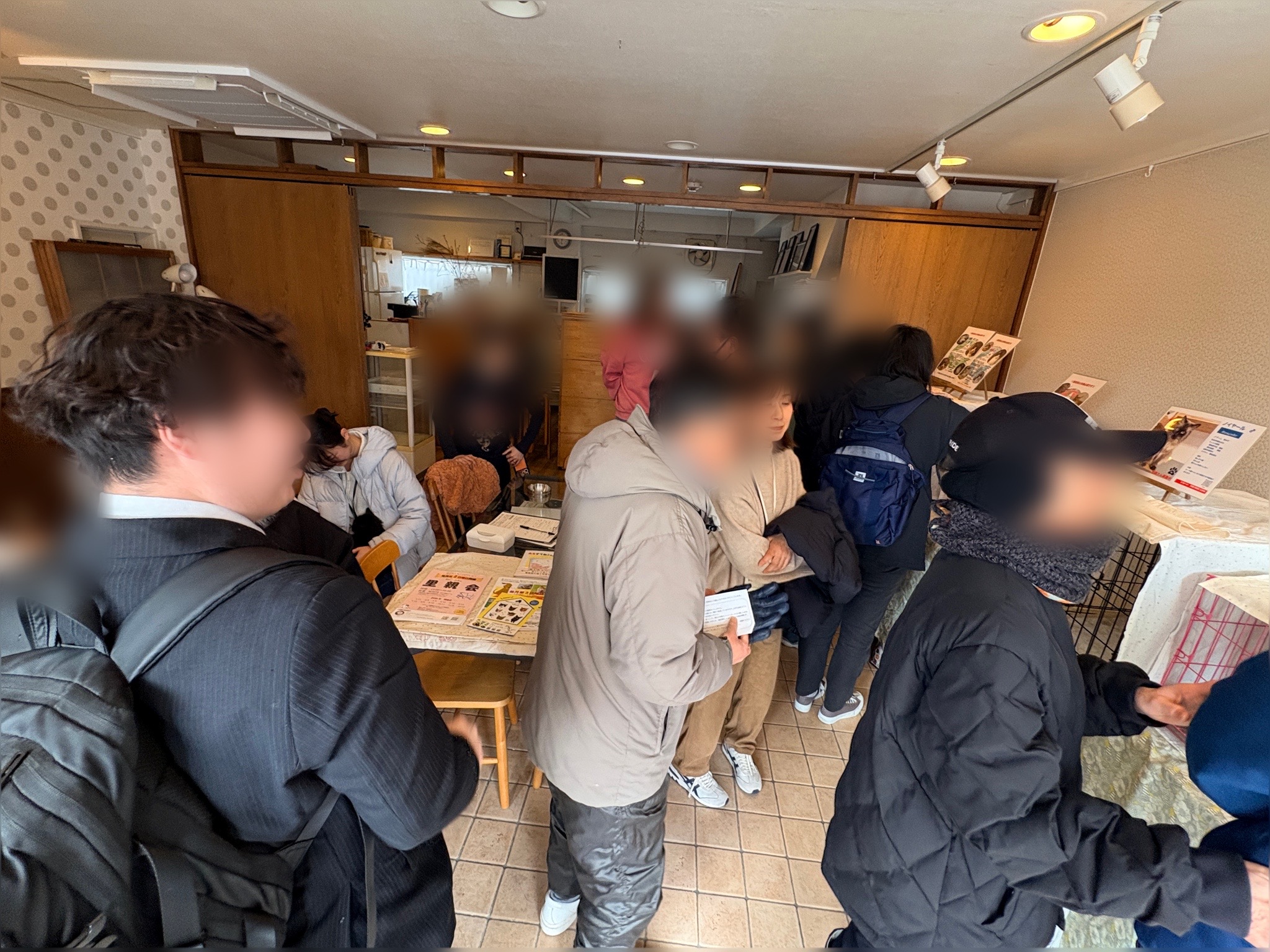 ねこで里親会　譲渡会　川西市　保護猫　野良猫　保護猫を家族に