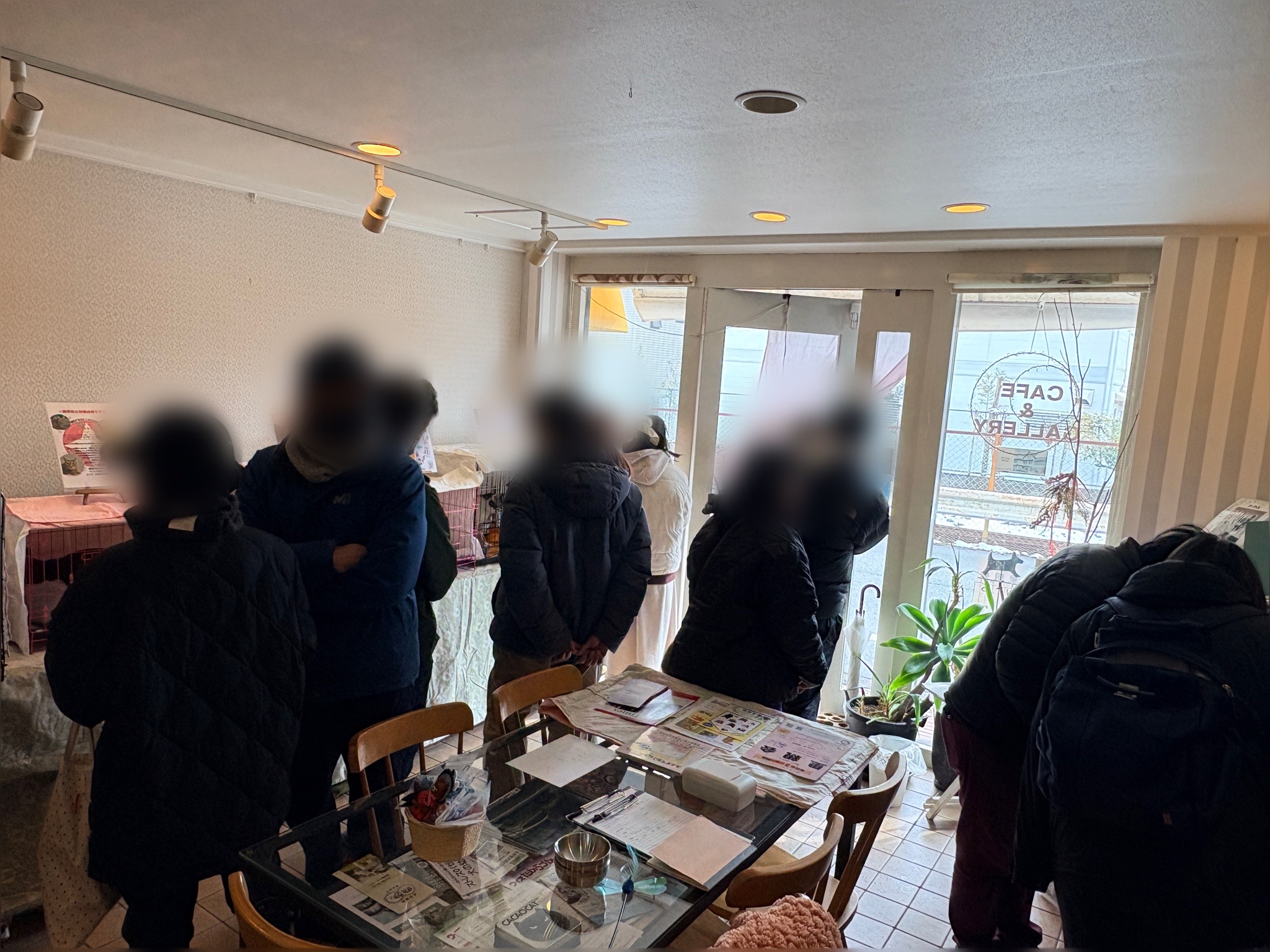 ねこで里親会　譲渡会　川西市　保護猫　野良猫　保護猫を家族に