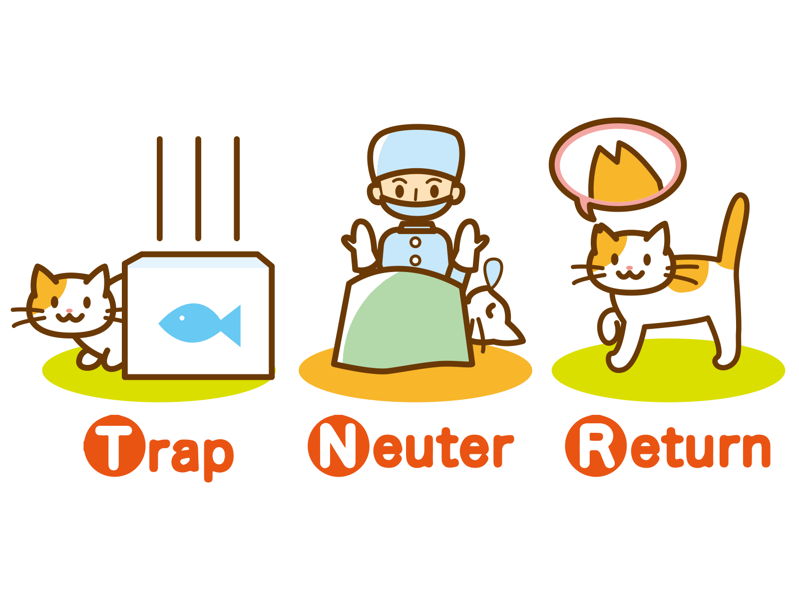 tnr活動　川西市　野良猫を減らす　野良猫